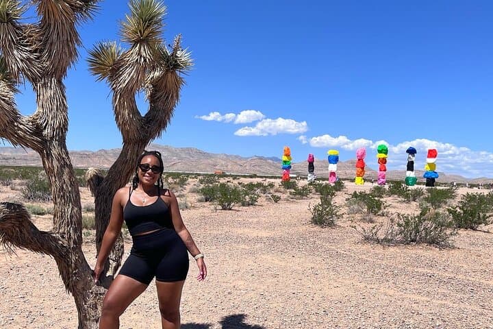 Valley of Fire and Seven Magic Mountains day tour from Las Vegas