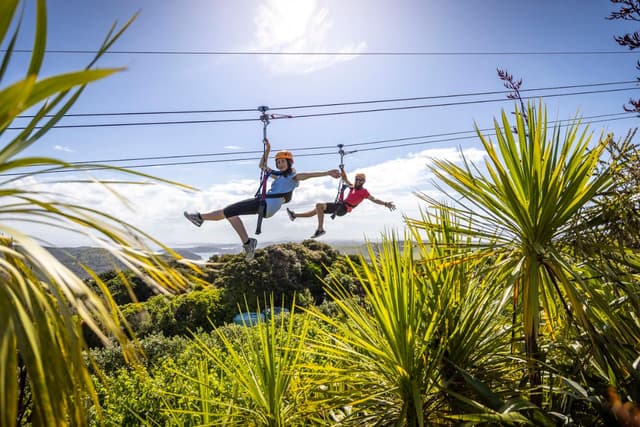 Zip, Wine and Dine | Waiheke Island, Auckland