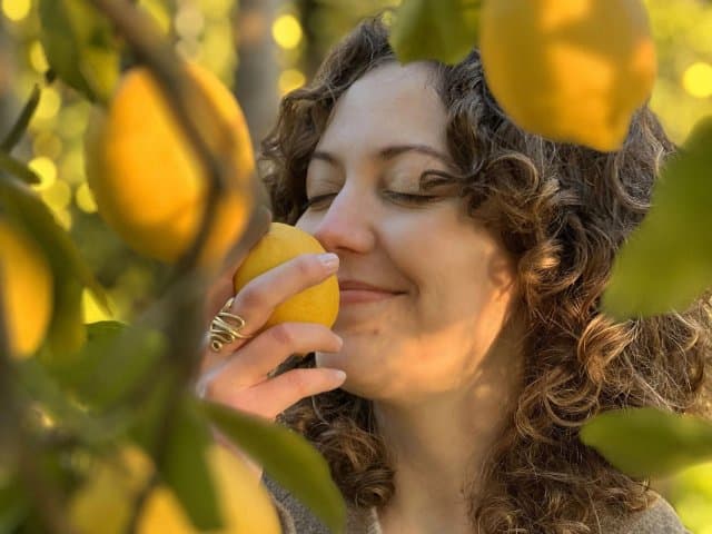 Sorrento Farm Lemon Harvesting and Limoncello Tasting