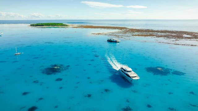 Lady Musgrave Experience Southern Great Barrier Reef Full-day Tour
