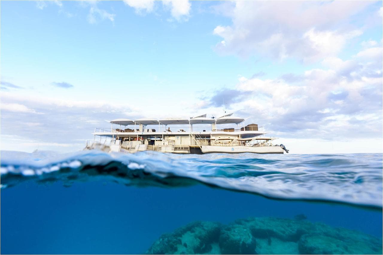 Lady Musgrave Experience Southern Great Barrier Reef Full Day Tour