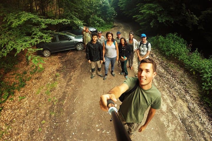 Small-Group Brown Bear-Watching Experience from Brașov, Romania