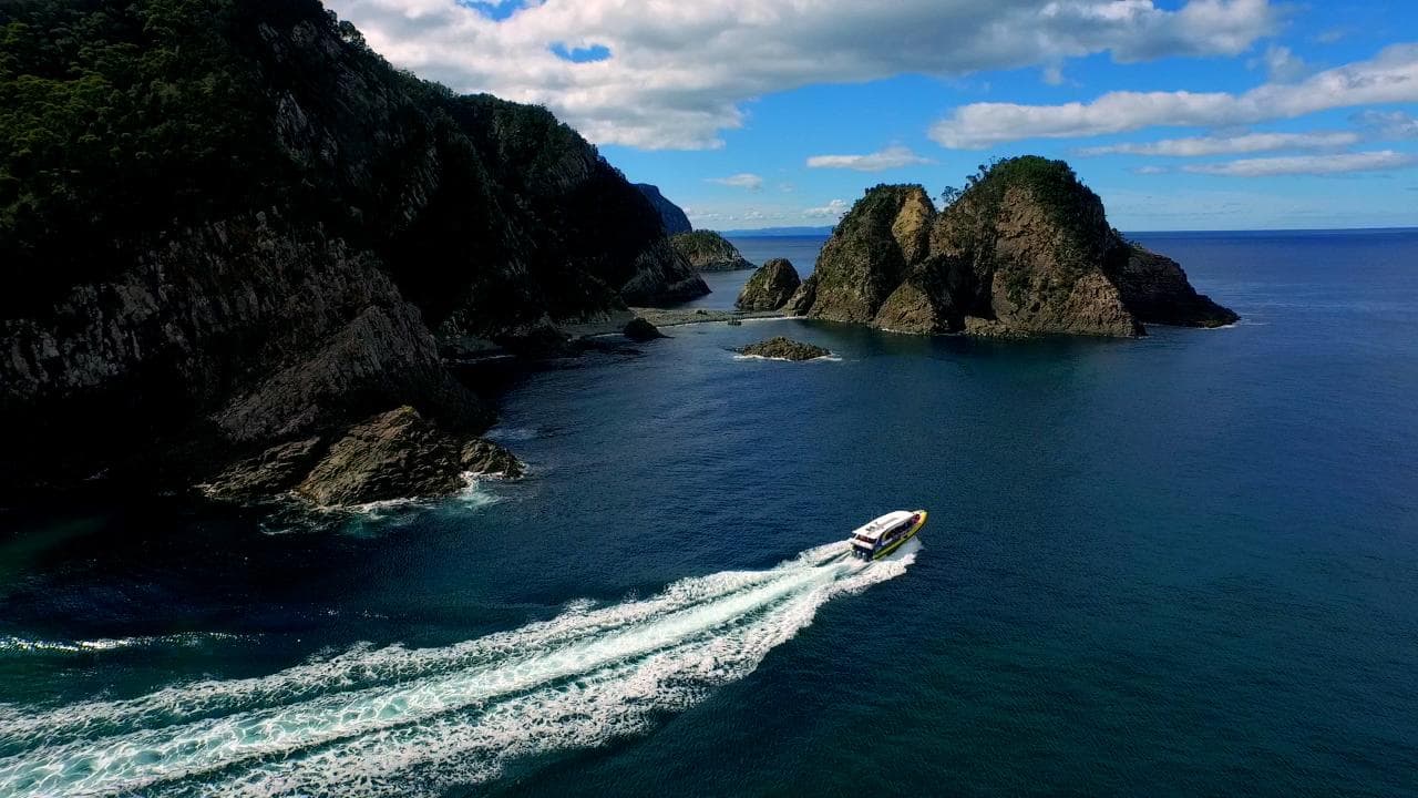Bruny Island 3-Hour Wilderness Cruise