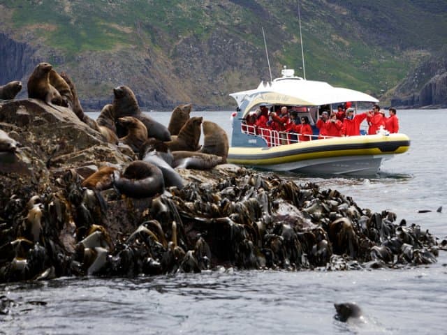 Bruny Island 3-Hour Wilderness Cruise