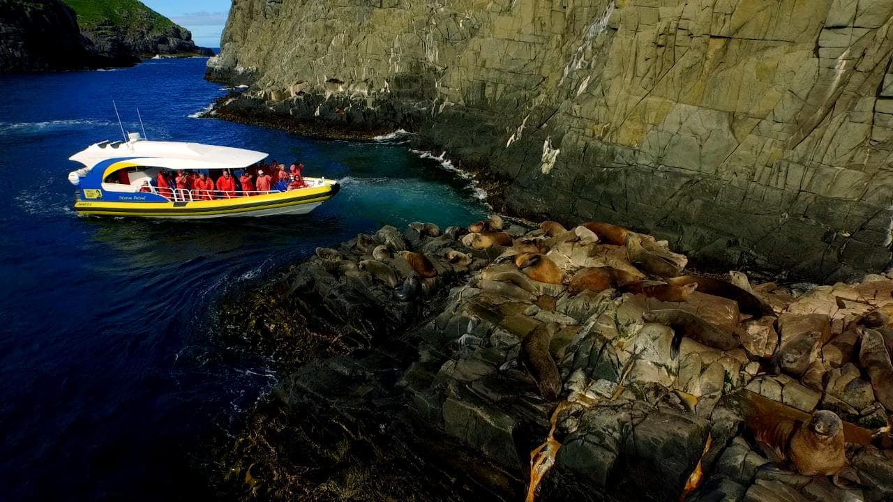Bruny Island 3-Hour Wilderness Cruise