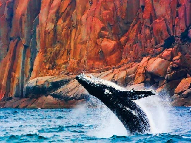 Wineglass Bay Cruises - Sky Lounge (Adults Only) | Tasmania