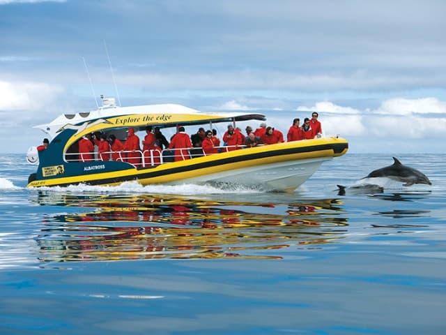 3-hour Tasman Island Cruises | Port Arthur, Tasmania