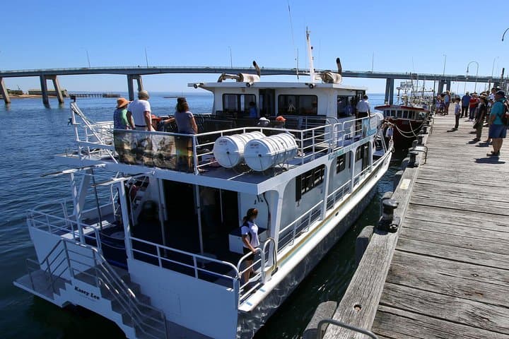 Dolphin & Whale Cruise | San Remo, Australia