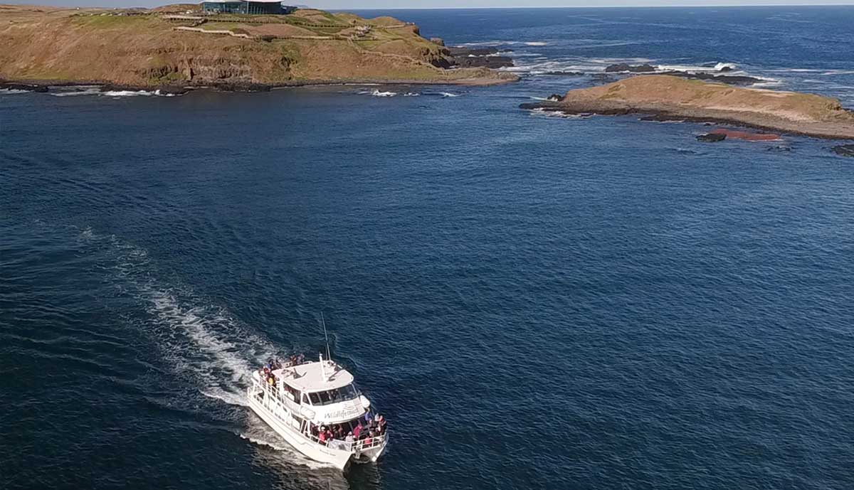 Phillip Island Seal Cruise