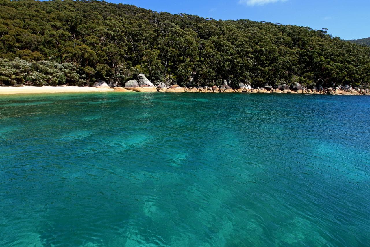 Wilsons Prom Whale Cruise | Victoria, Australia