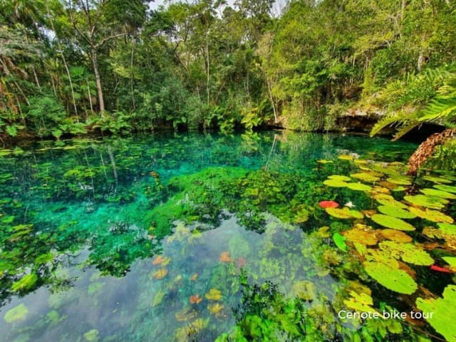 11-day Ecotrips to Yucatan & The Caribbeans