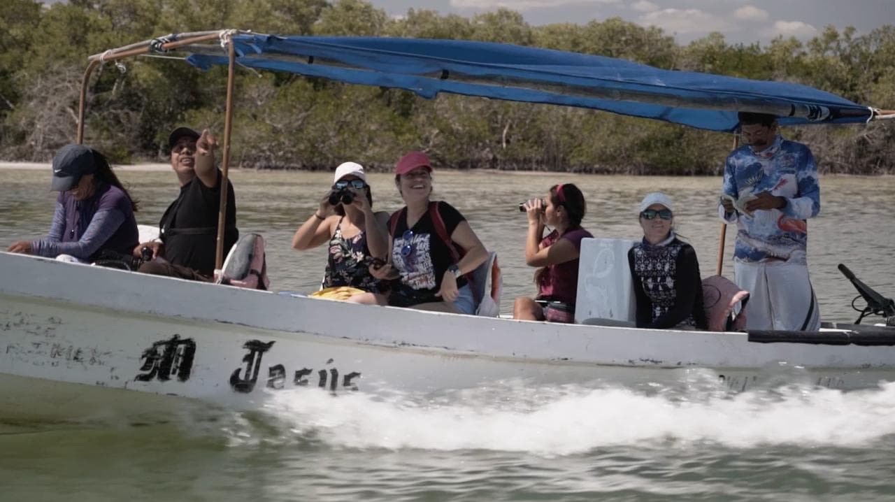 Bird Watching Rio Lagartos - Private tour | Tulum, Yucatan