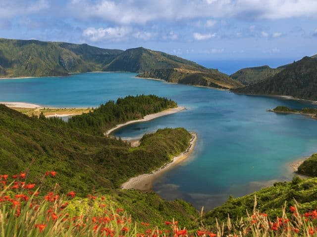 Ocean Giants and Volcanic Wonders: A Dolphin, Whale, and Lagoa do Fogo Adventure