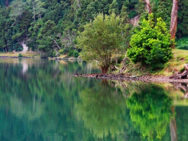 Full Day Sete Cidades & Lagoa do Fogo Crater Tour