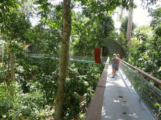 Borneo: Wildlife, Culture and Island retreat