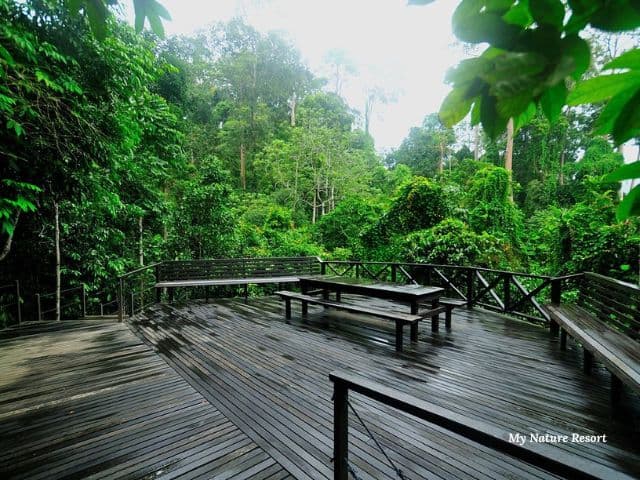 Borneo: Wildlife, Culture and Island retreat