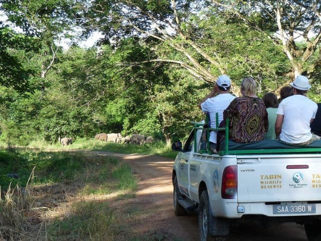 Borneo: Wildlife, Culture and Island retreat