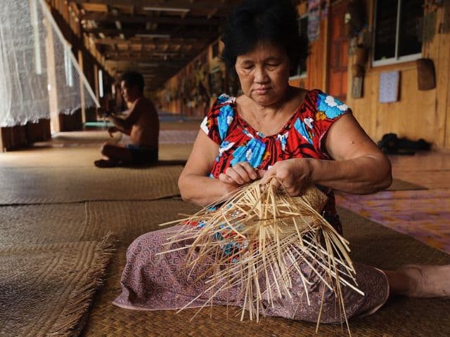 Borneo: Wildlife, Culture and Island retreat