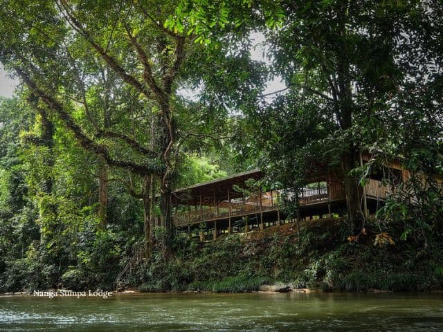 Borneo: Wildlife, Culture and Island retreat