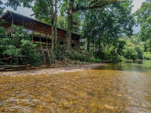 Borneo: Wildlife, Culture and Island retreat