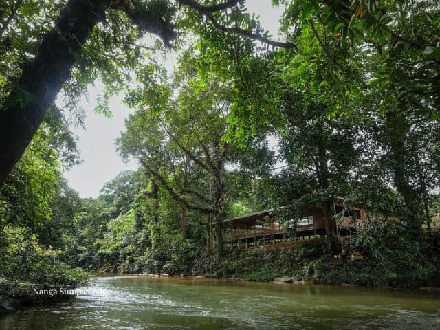 Borneo: Wildlife, Culture and Island retreat