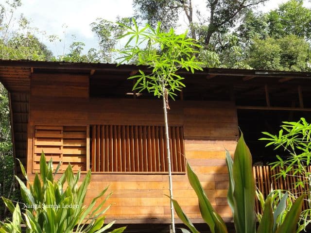 Borneo: Wildlife, Culture and Island retreat