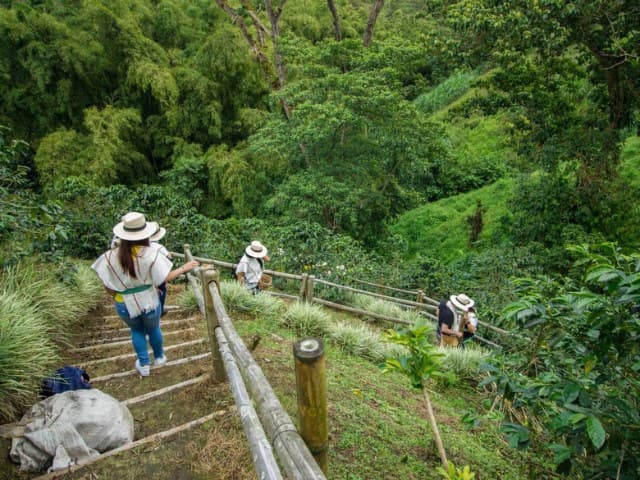 Coffee Farm Experience at Finca El Ocaso, Salento