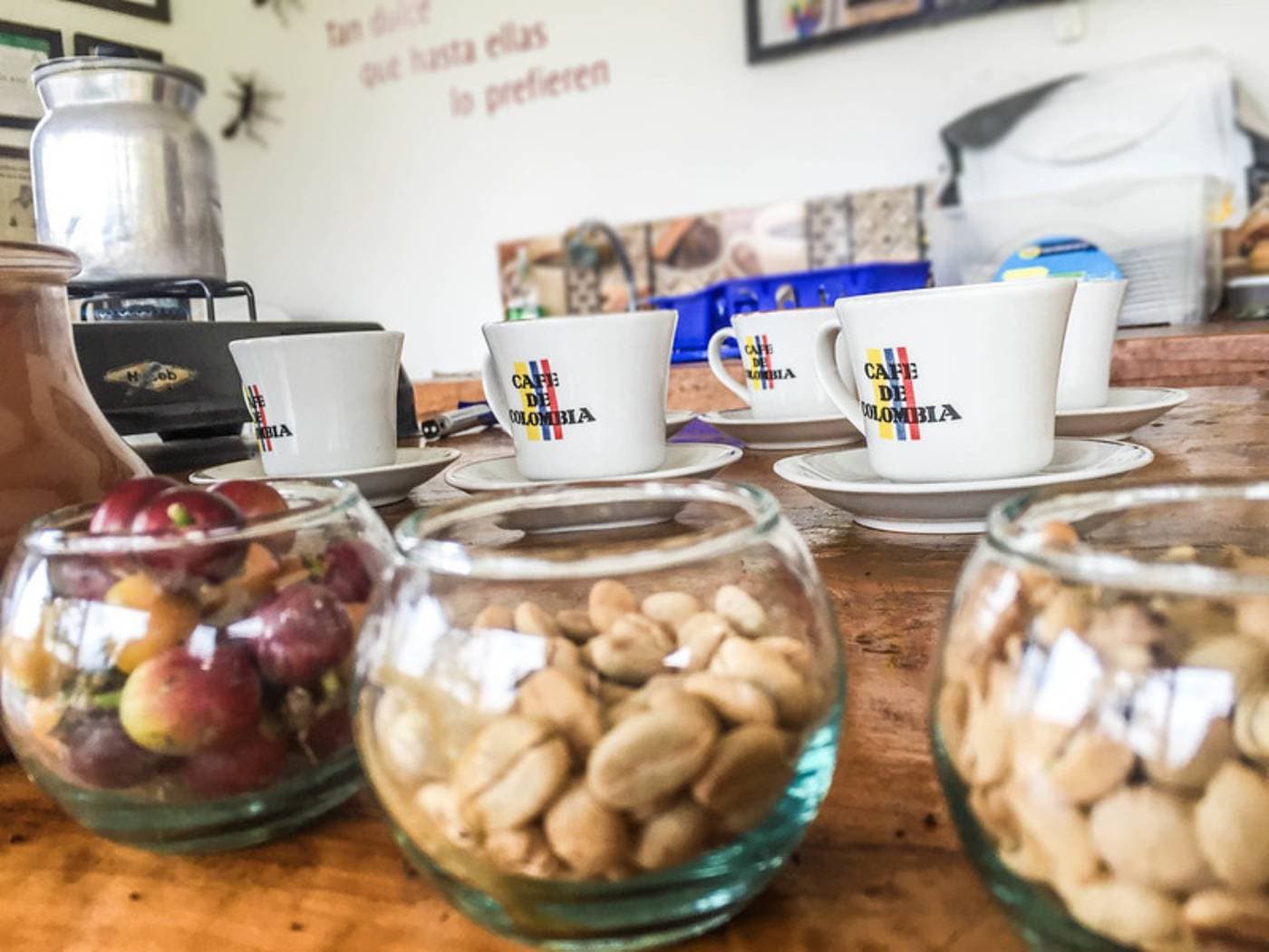 Coffee Farm Experience at Finca El Ocaso, Salento