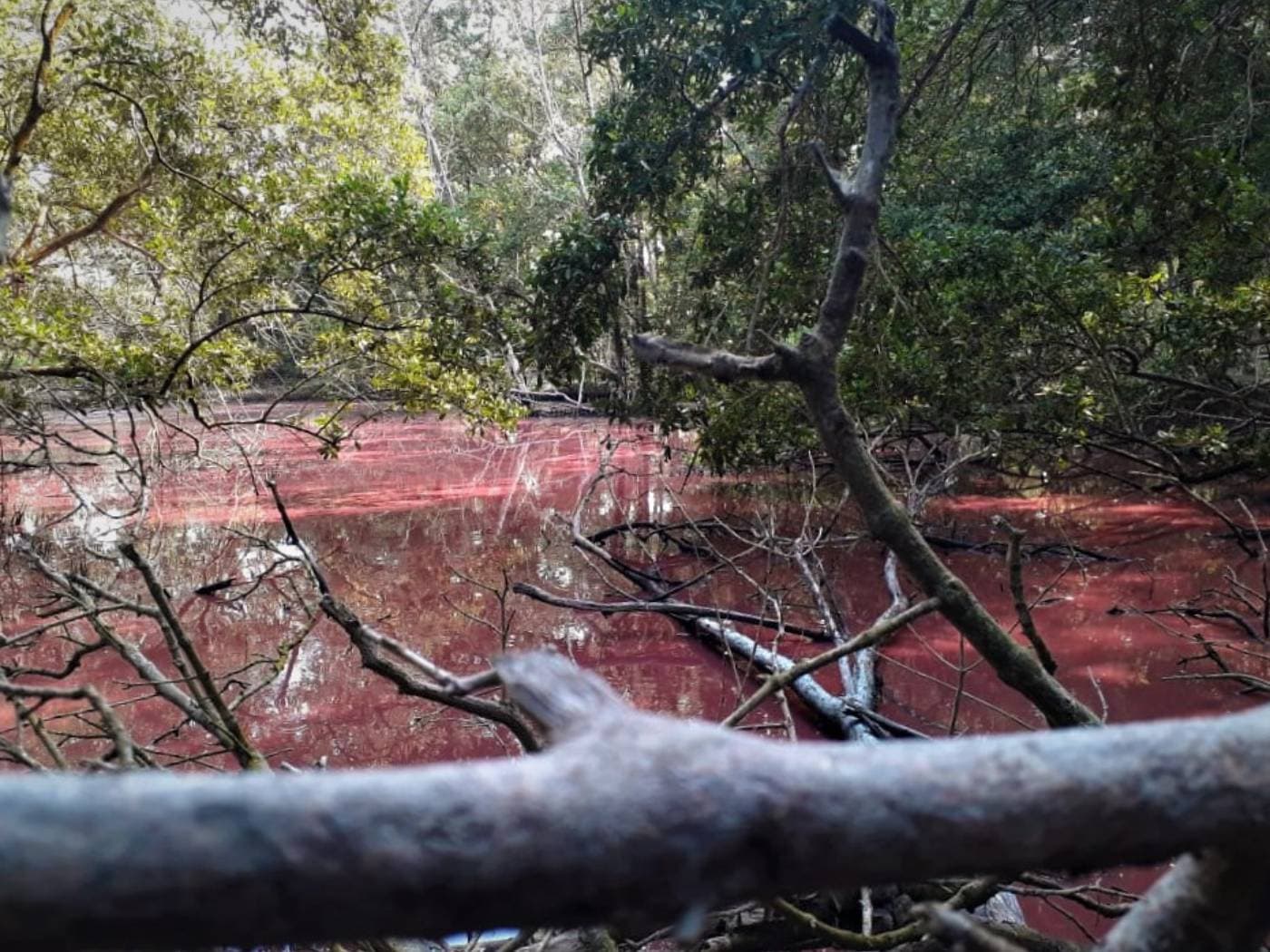 Half day visit to Isla de Salamanca National Park
