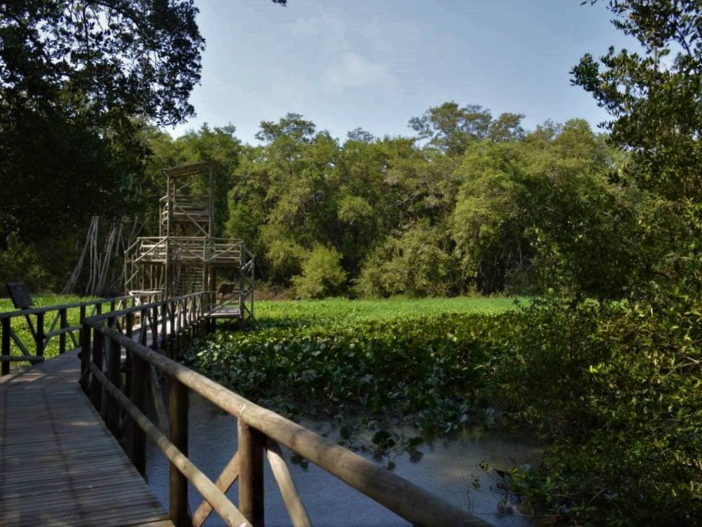 Half day visit to Isla de Salamanca National Park