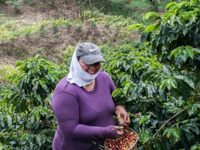 Jardín, Antioquia: A true cofffee town Day Trip from Medellín