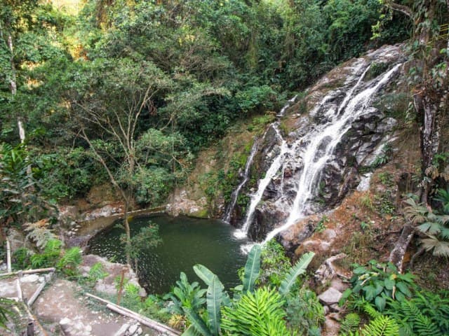 Minca Day Trip with visit to Coffee Farm | Depart from Santa Marta