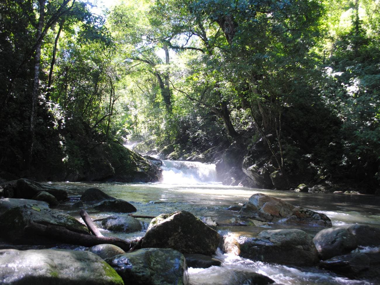 Minca Day Trip with visit to Coffee Farm | Depart from Santa Marta