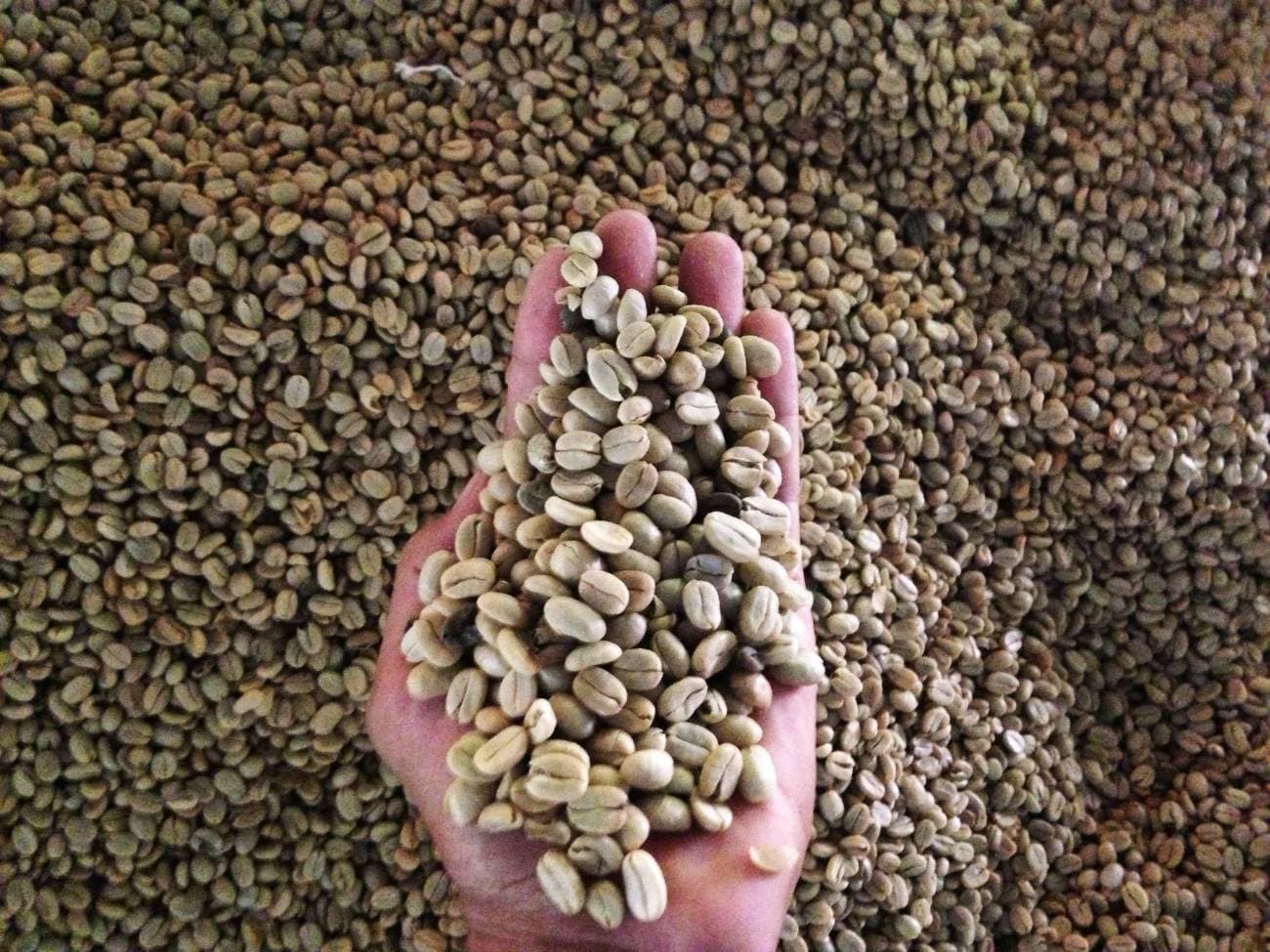 Minca Day Trip with visit to Coffee Farm | Depart from Santa Marta