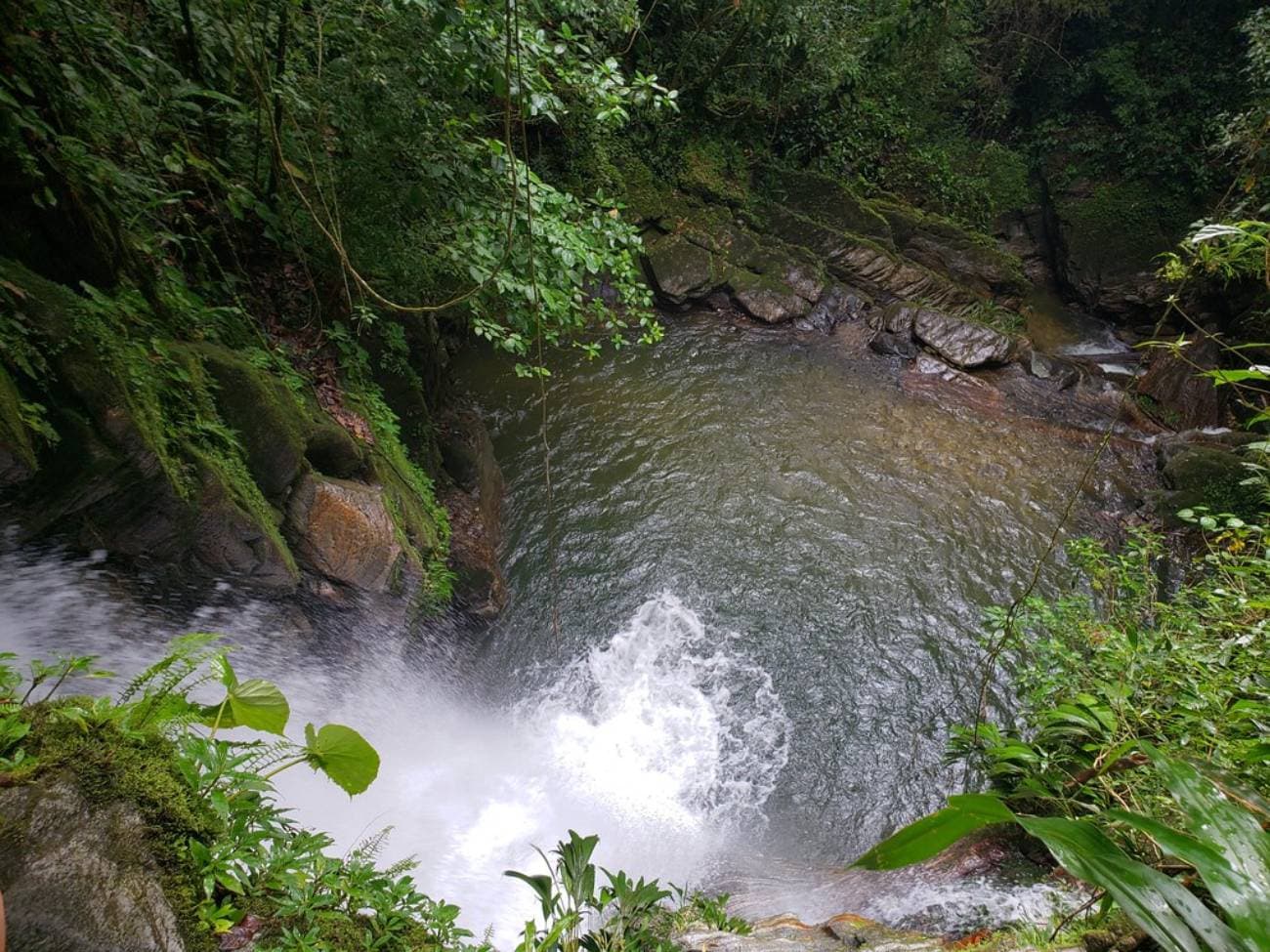Minca Day Trip with visit to Coffee Farm | Depart from Santa Marta
