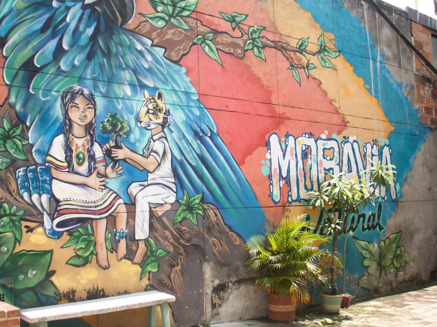 Moravia’s blooming, lunch with locals and capoeira experience | Medellín, Colombia