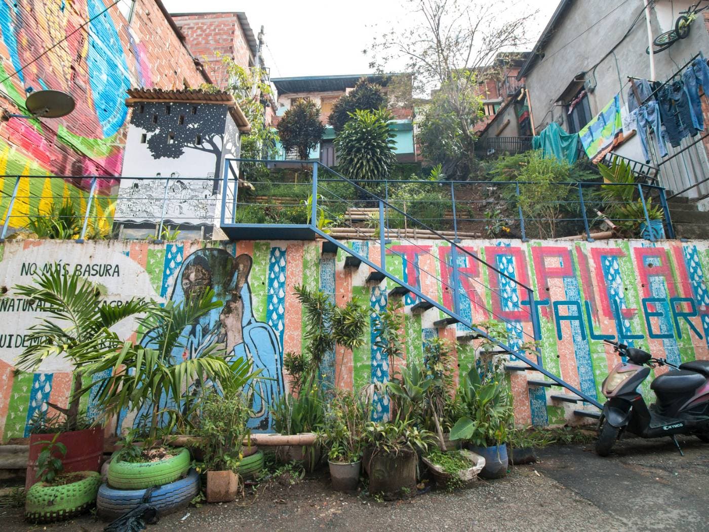 Moravia’s blooming, lunch with locals and capoeira experience | Medellín, Colombia