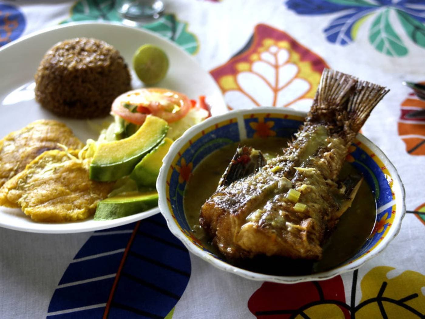 Moravia’s blooming, lunch with locals and capoeira experience | Medellín, Colombia