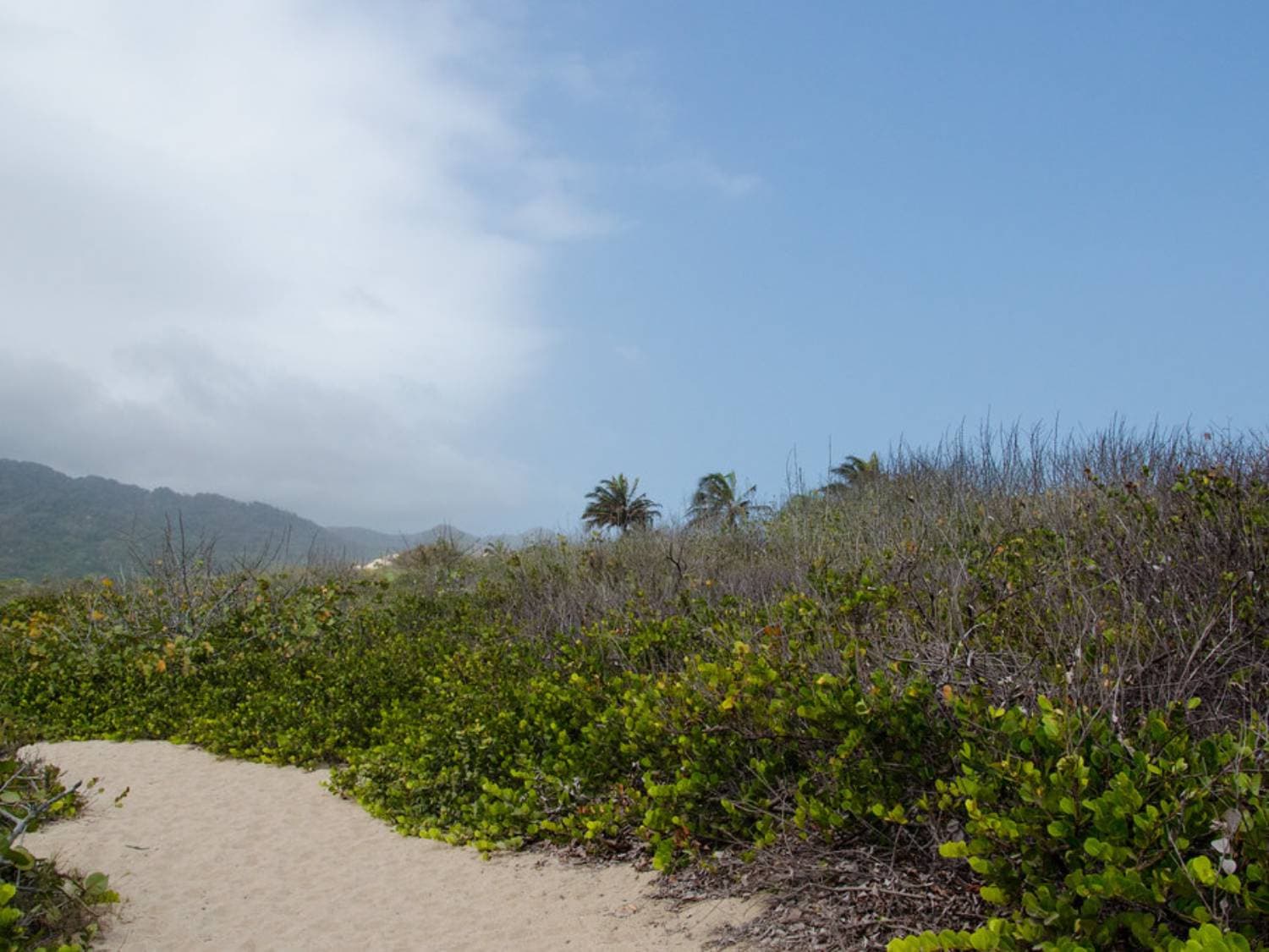 Tayrona park and Trek to Cabo San Juan | Depart from Palomino