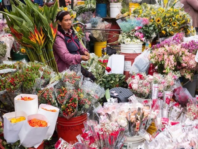 Tropical Abundance Cooking Class | Bogotá