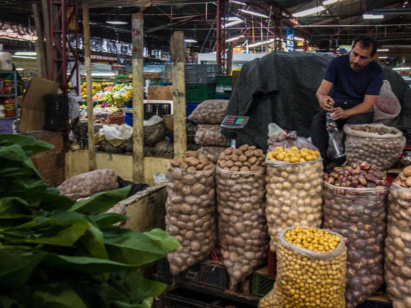 Tropical Abundance Cooking Class | Bogotá