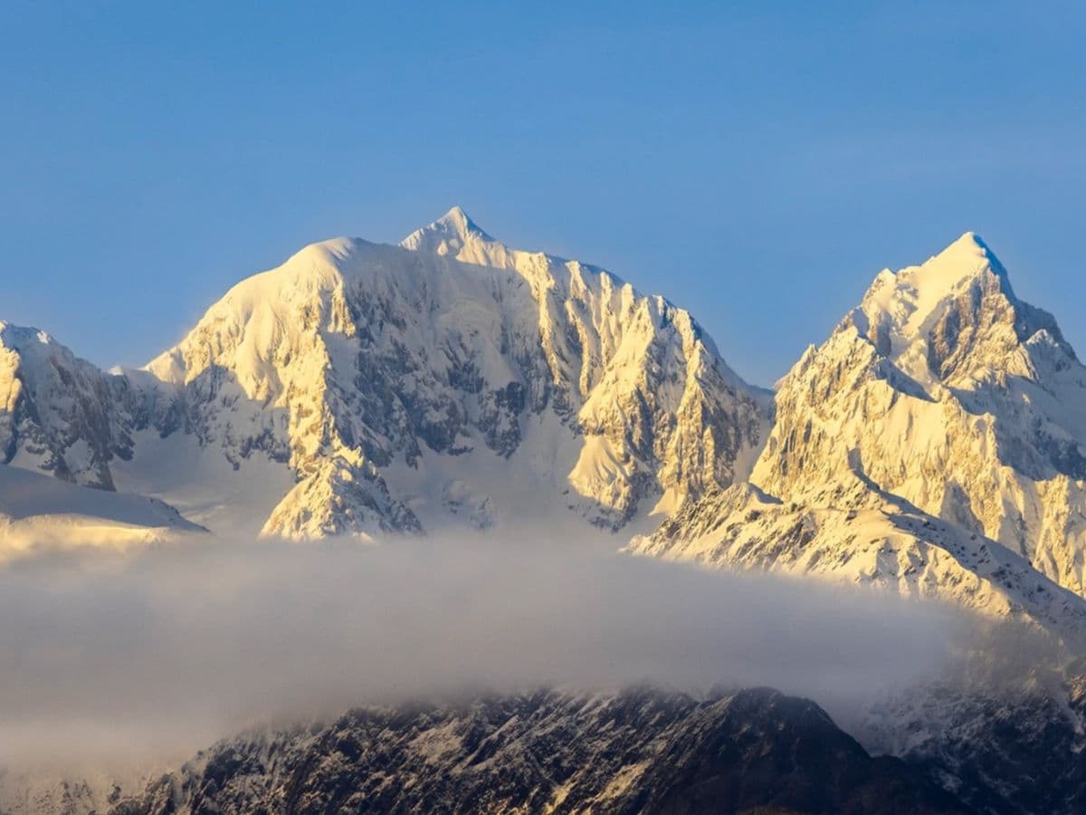 Fox Glacier Nature Tour | Franz Josef