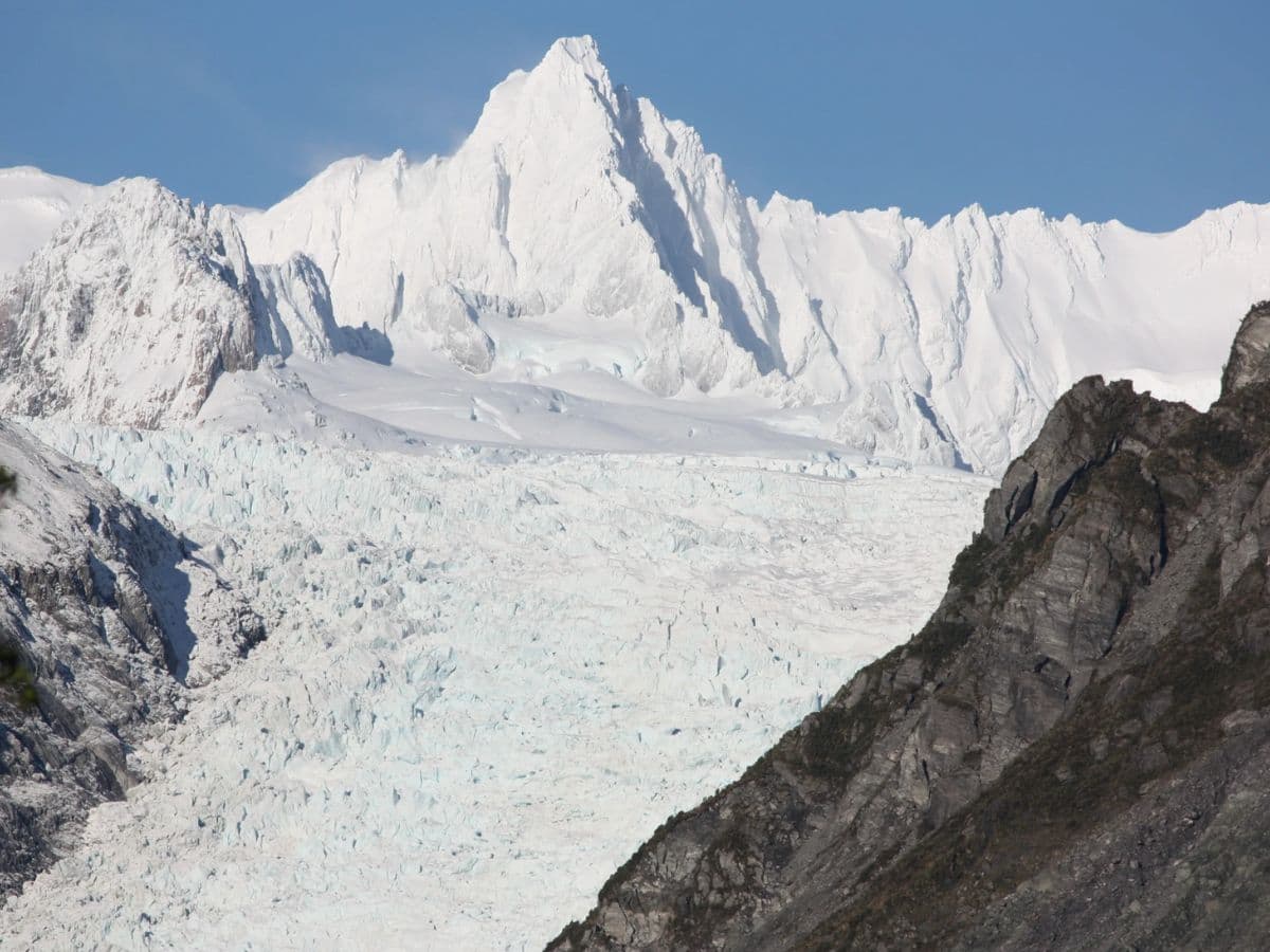 Fox Glacier Nature Tour | Franz Josef