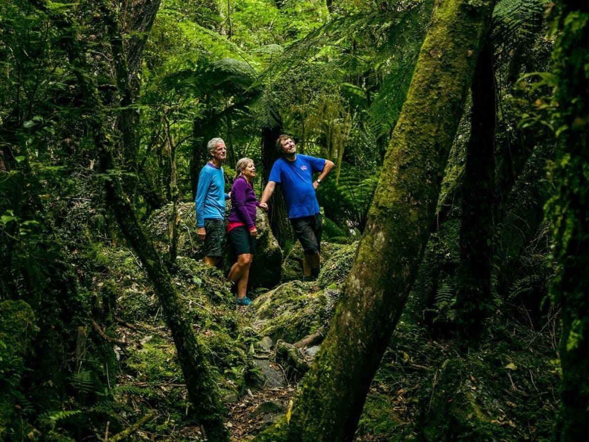 Fox Glacier Nature Tour | Franz Josef