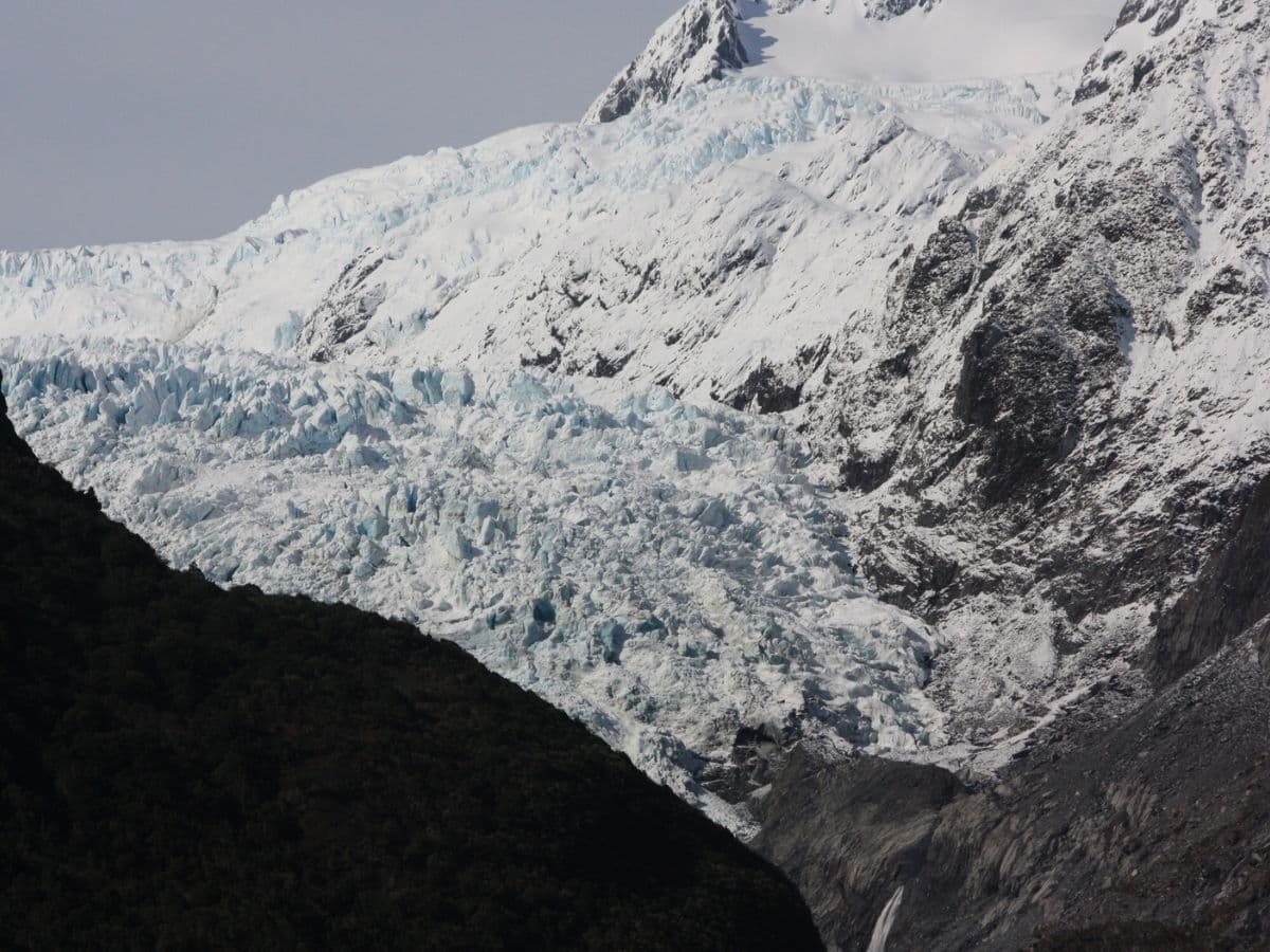 Franz Josef Nature Tour