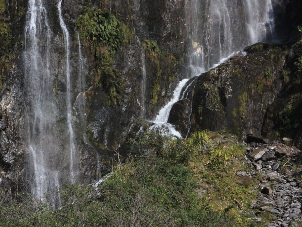 Franz Josef Nature Tour