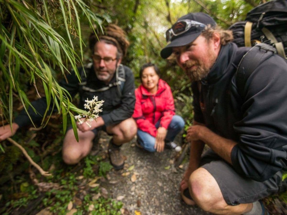 Franz Josef Nature Tour