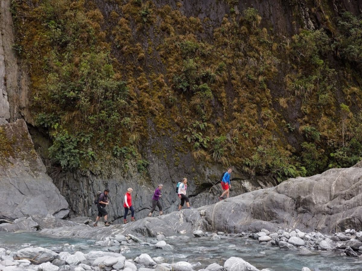 Franz Josef Nature Tour