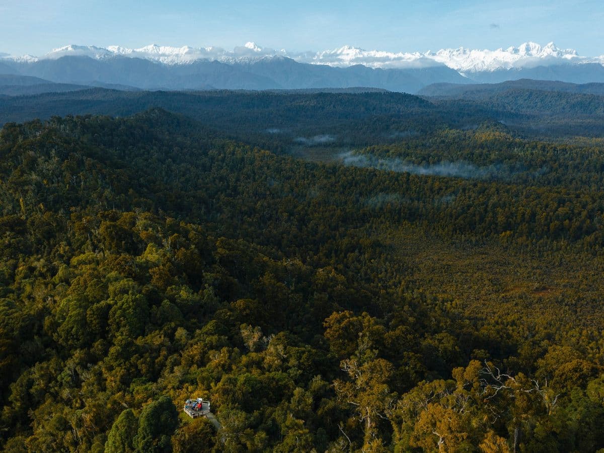 Ōkārito Nature Tour | Franz Josef