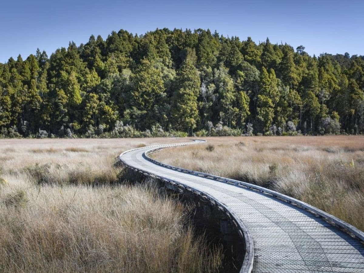 Ōkārito Nature Tour | Franz Josef